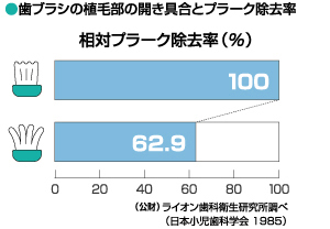 歯ブラシの管理はできていますか？